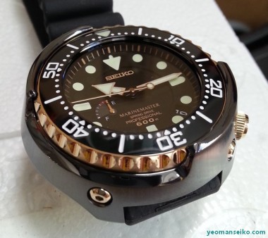 100 Years of Watchmaking Limited Edition Spring Drive Diver – SBDB008 |  Yeoman's Watch Review